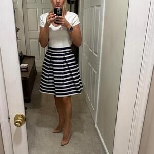 Navy and White Striped Pleated Skirt